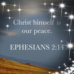 Meet your Posher, Teresa